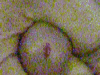 1216988689353.gif