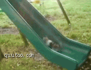 01.gif