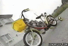 ЩﳵԿ.gif