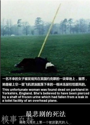 3b87e950352ac65cd477cfd6fbf2b21193138a21[1].png