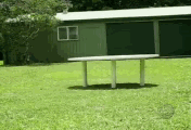 5-120I1214Z5.gif