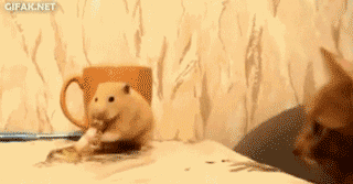 5-120Q5224327.gif