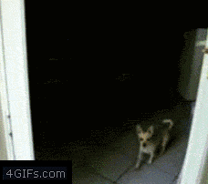 һǱ˺ĺֽӰ̫ˡ.gif