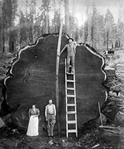 һñľͺɼ1910Ǻɼҹ԰.jpg