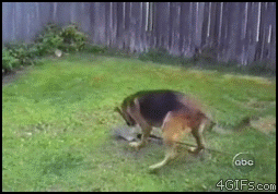 ޴డȻ~øڵ˰.gif