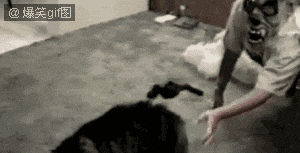Σ㱻ʺˣ̫.gif