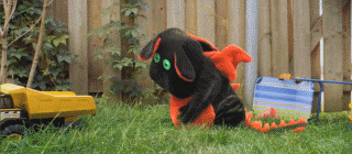 аϰΪĶƬ~.gif