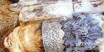 abbr_8007dffe9e593779ff9cd094be8f2aa7.jpg