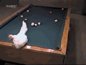 A2.gif