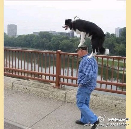  (5) ģûôϲеģһһţ.jpg