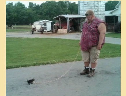  ģûôϲеģһһţ.jpg