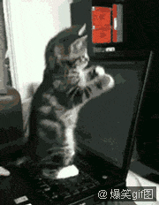 ϲѡ.gif