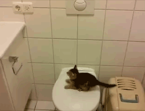ѽ̫ˡĪشȵ㡣.gif