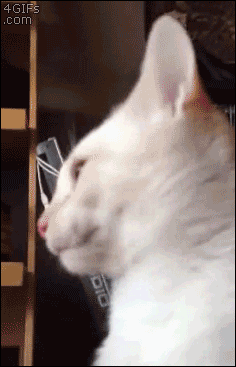 ͷţ˲ʧ˲~.gif