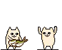 未命名.gif