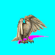 Ctbird23.jpg